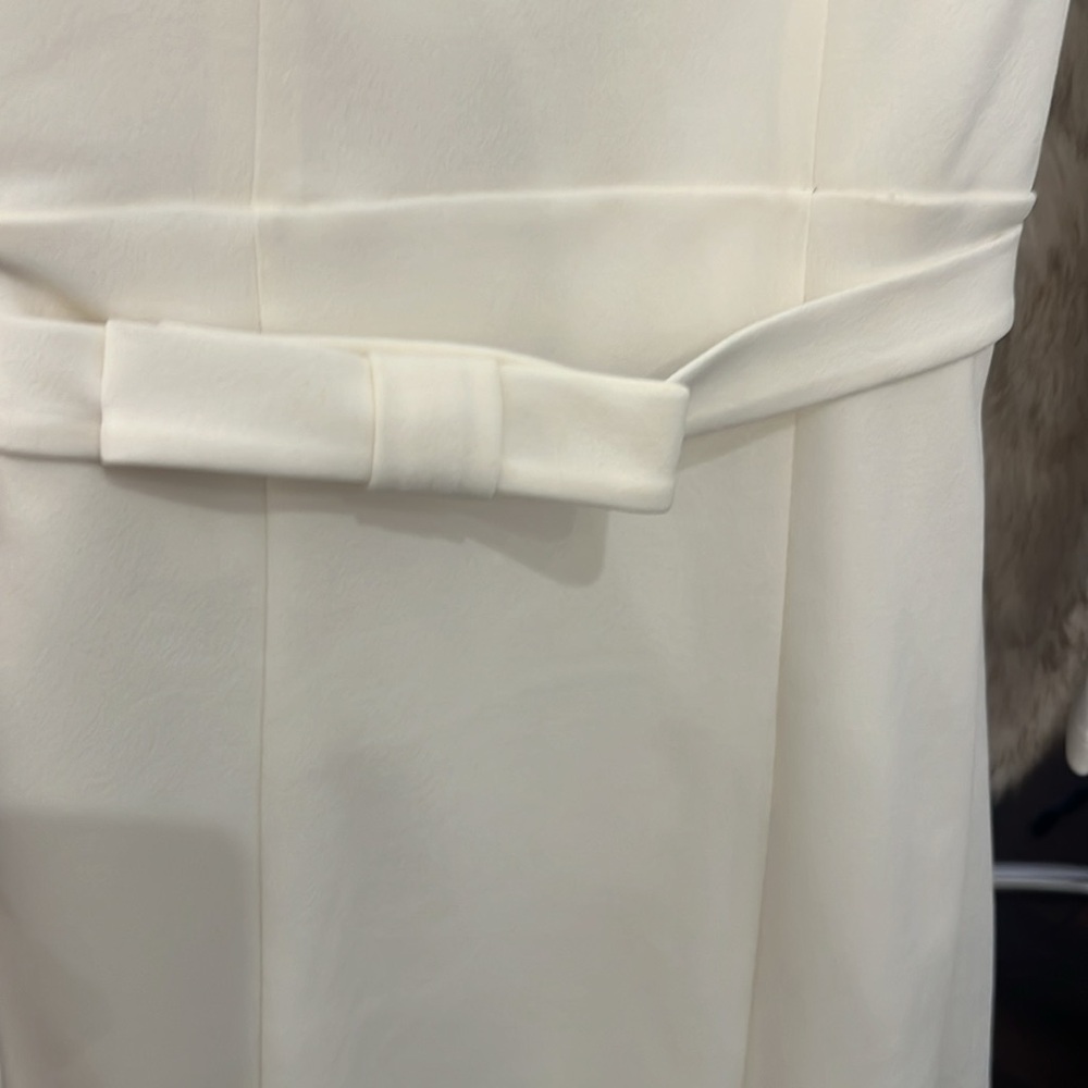 NWT Express Midi Dress - Picture 5 of 5